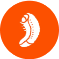 Grub Control