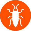Pest Control