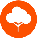 Tree and Shrub