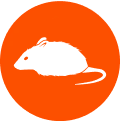 Vole Control